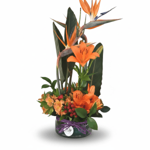 Centro tropical Brillo del Paraíso